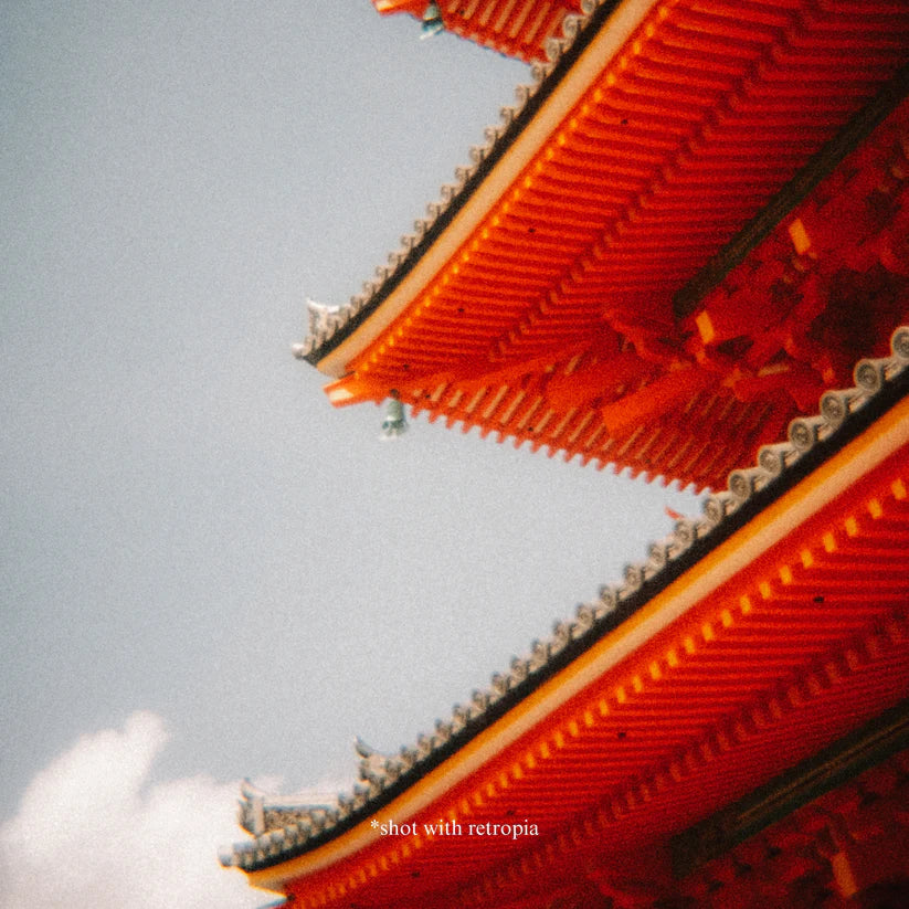 RetroMount™ Film Kamera Lensi